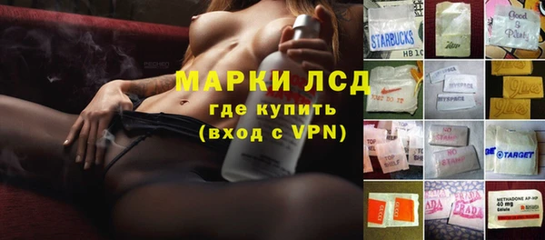 винт Ельня