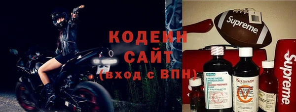 винт Ельня