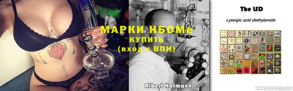 винт Ельня