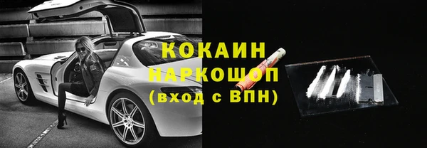 винт Ельня