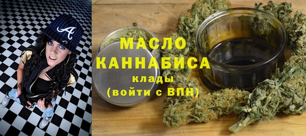 винт Ельня