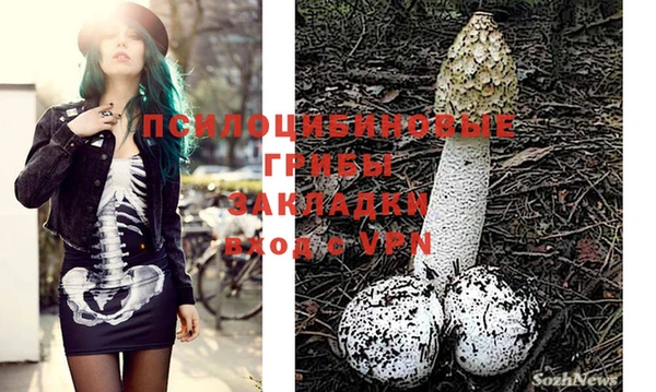 кокс Елабуга