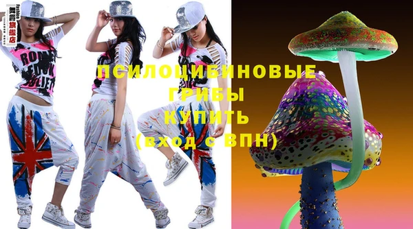 мдма Елизово