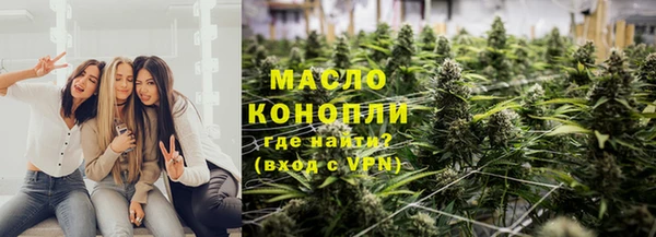 винт Ельня