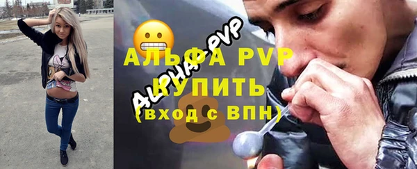 винт Ельня